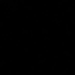 Meet your Posher, Sophie